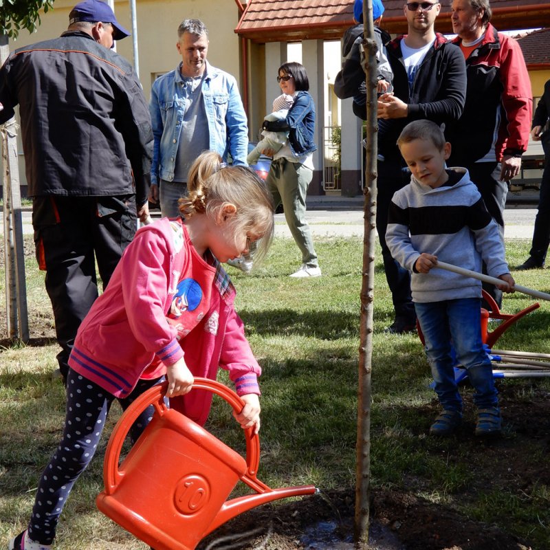 Életfa ültetés a város napján 35